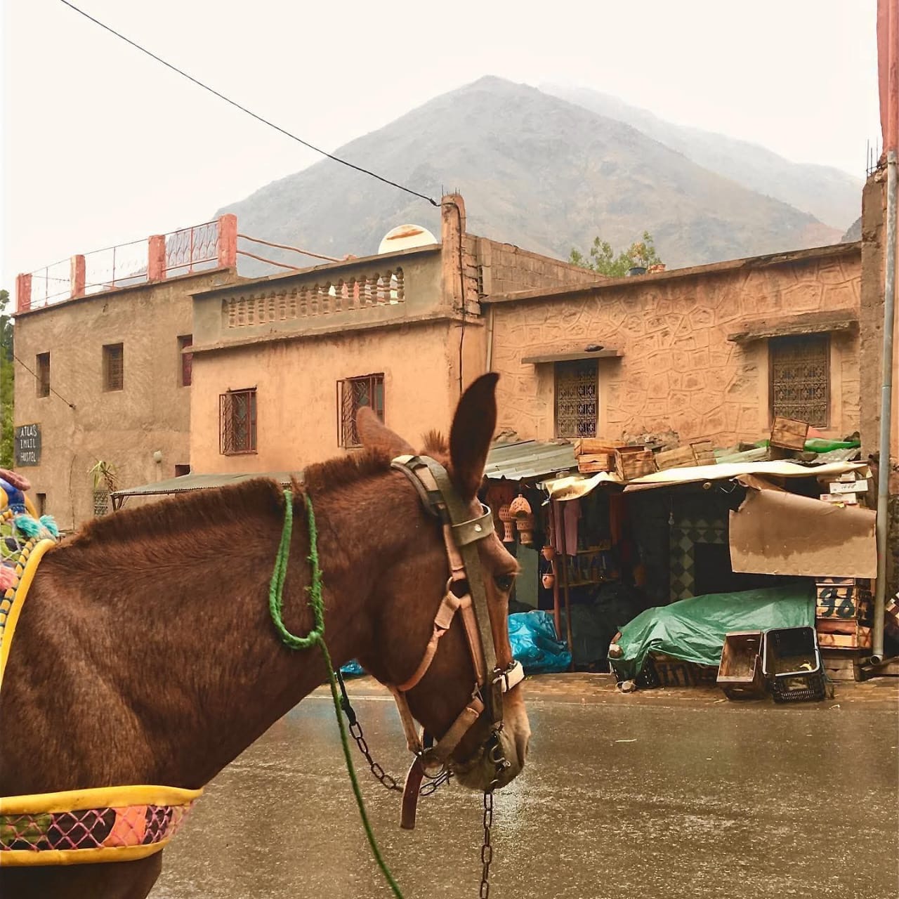 6-Day Toubkal Circuit — Marrakech to Marrakech — photo 9